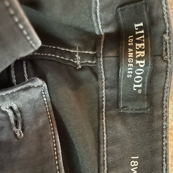 NEVER WORN: Liverpool dark denim size 18 skinny jeans - Picture 2 of 2